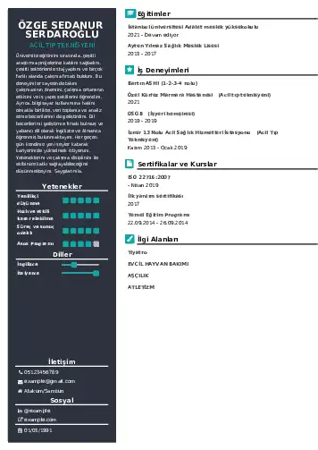Acil Tıp Teknisyeni CV Örnekleri cv indir